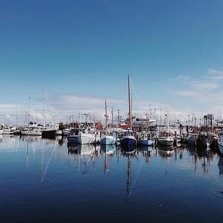 Minihus Til Havn, Strand, Vand Og By I Tatil Evi *